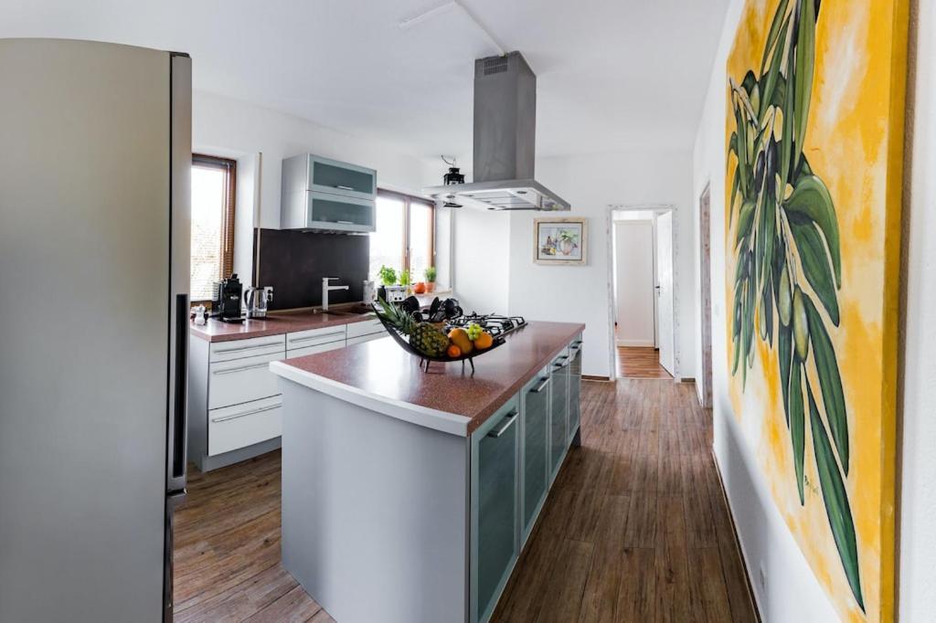 Ferienwohnung Finke 2 Friedrichshafen Ngoại thất bức ảnh