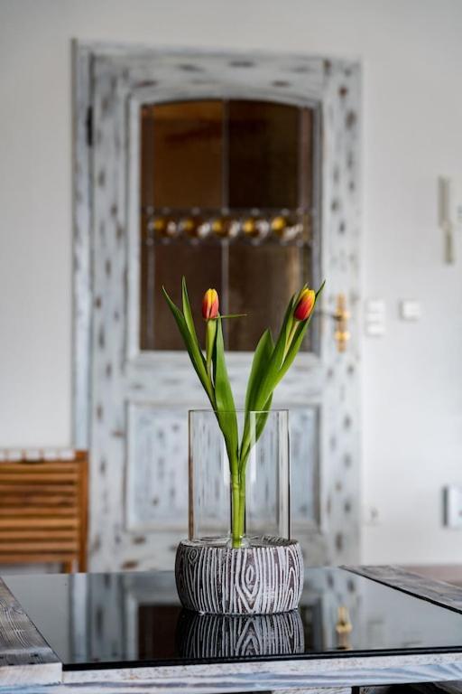 Ferienwohnung Finke 2 Friedrichshafen Ngoại thất bức ảnh