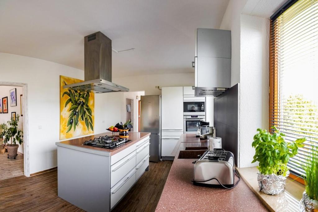 Ferienwohnung Finke 2 Friedrichshafen Ngoại thất bức ảnh